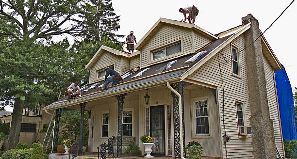 Best Storm Damage Roof Repair  in Newburgh, IN